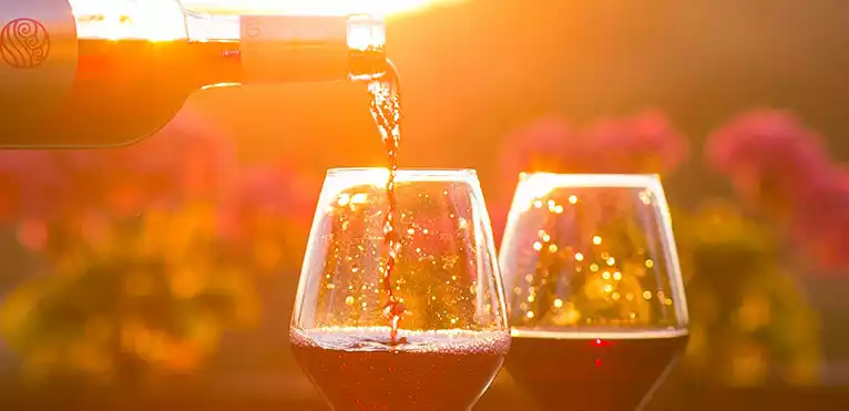 Comment être sûr de bien servir et déguster son vin ? Nos 5 conseils !